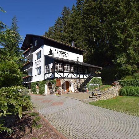 Pension St. Moritz Železná Ruda Buitenkant foto